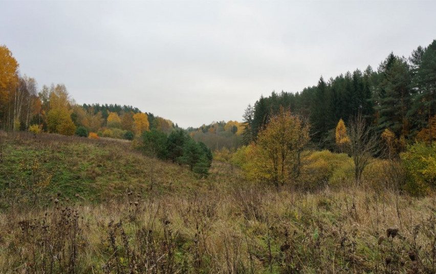 Dar devyni Lietuvos draustiniai priskirti Europos ekologiniam tinklui „Natura 2000“