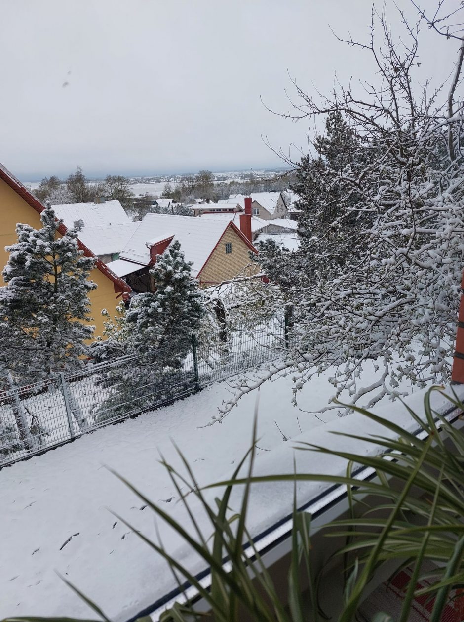 Apie į Lietuvą grįžusią žiemą: tiek sniego balandį – daug
